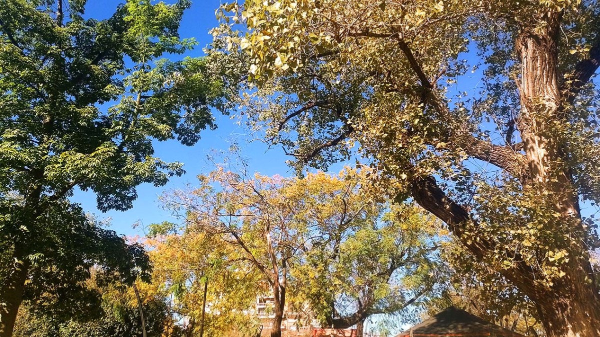 Domingo de otoño